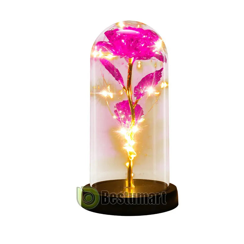 Infinity Rose LED Dome — Pink